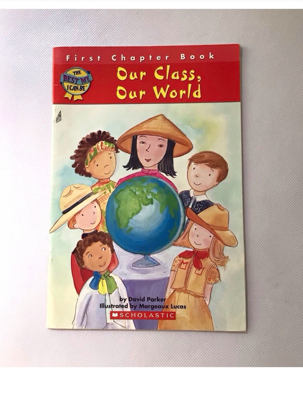 Scholastic Book  First Chapter Book Our Class, Our World by David P.  Heritage